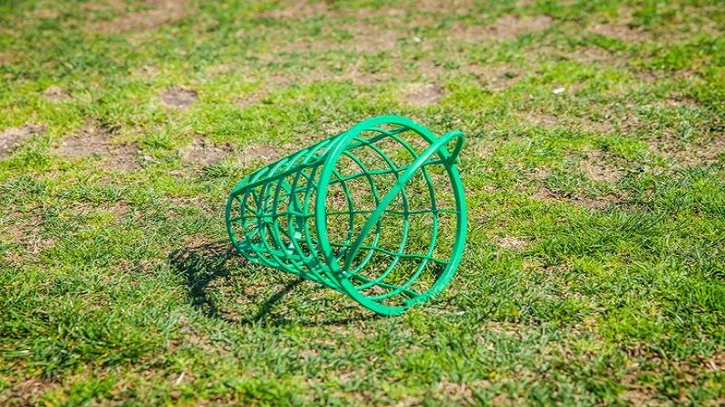 mygreenbucksnet